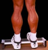 calf raises