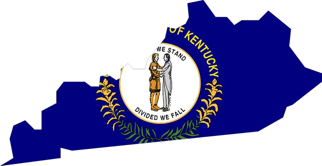 Kentucky basketball camps